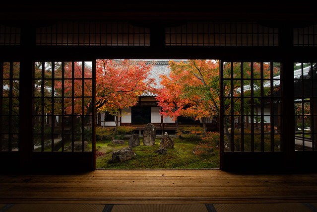 Momiji